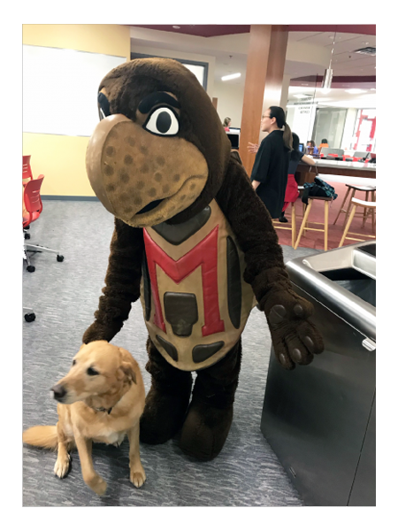 Testudo petting a therapy dog 