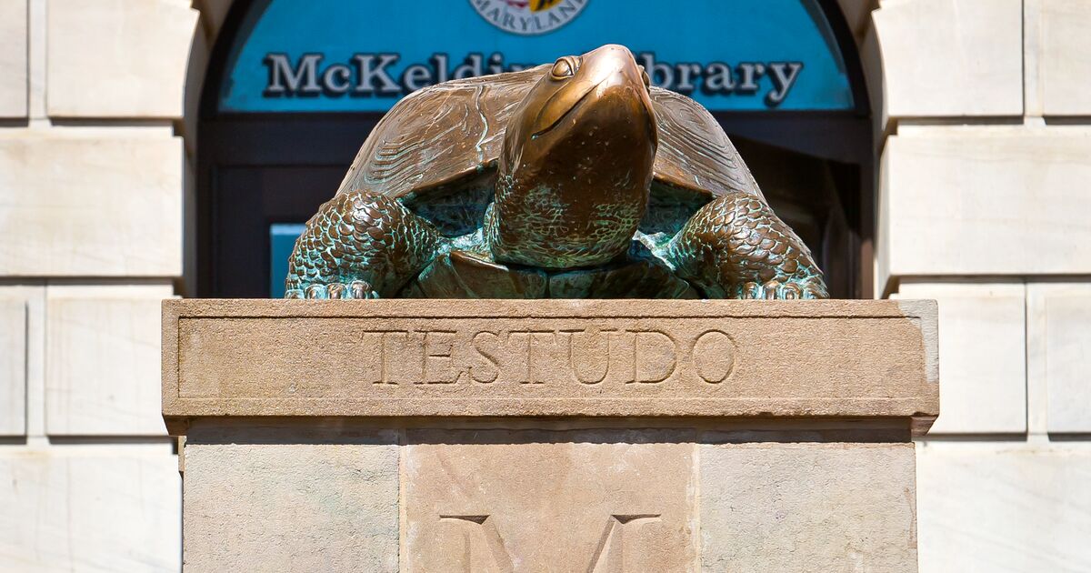 Testudo