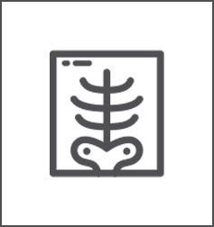 a simple line drawing icon of an x ray showing a rib cage 