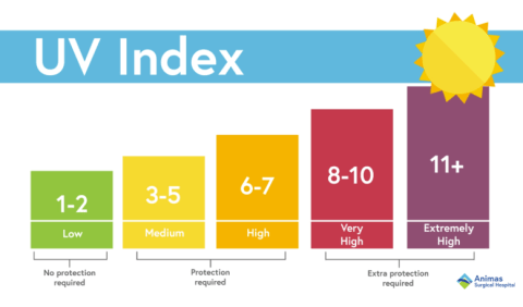 Diagram of the levels of UV index and their need for sun protection. 1-2 “Low” where little to no sun protection is needed 2-5 “Medium” where sun protection is required 6-7 “High” where sun protection is required 8-10 “Very High” where extra sun protection is required 11+ is “Extremely High” where extra sun protection is required