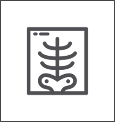 a simple line drawing icon of an x ray showing a rib cage 