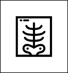 Icon of a rib cage x ray